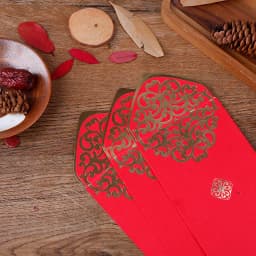 10 Pcs Chinese Red Envelopes 2023 New Year Money Packing Bag Gold Stamping Emboss Hongbao Spring Festival Red Packets Decoration