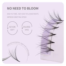 ANNAFRIS Pointy Base Premade Volume Fans Russia Volume Eyelash Extension Phoenix Tail Faux Mink Individual Lashes