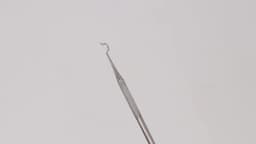 Dental Stainless Steel Ligature Tie Placement Tool Orthodontic Twirl-on Module Elastic Ligation Ring Holder Dentistry Instrument