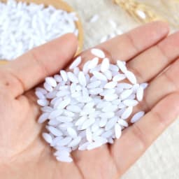 40g PVC Simulated Rice Grains Display Props Artificial Fake Food White Rice Festive Party Window Cabinet Decor Photography Props