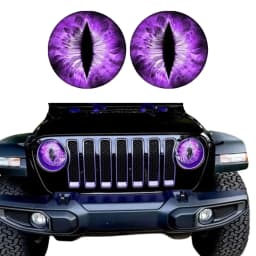 Beast Eyes Headlight Decals(1 PAIR) Eye of the Beast Car Sticker 3D Stereo Headlight Stickers Bumper Decoration