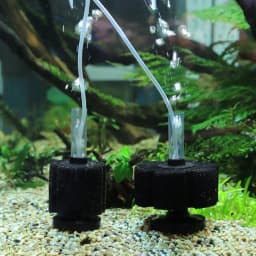 Aquarium Filter Sponge For Fish Tank Air Pump Skimmer Biochemical Sponge Filter Aquarium Bio Filter Filtro Aquario Acessorio