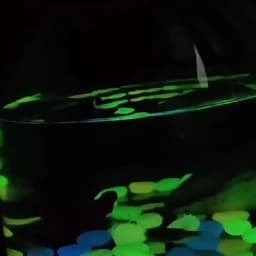 100Pcs Glow in the Dark Garden Pebbles For Sidewalk Garden Terrace Lawn Garden Patio Fish Tank Aquarium Decoration Glow Stone