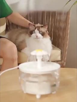 USB Electric Mute 1.2L Pet Water Fountain Automatic Cat Drink Bowl Filter Pet Drinking Dispenser Drinker For Cats Water Filter