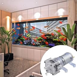 Mini Pump Spray Motor 12v/24v Priming Diaphragm Self Priming Sprayer Pump Micro- Pump For Water Dispenser Tools Accessories