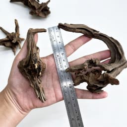 10-15CM Natural Driftwood Aquarium Decor - Premium Wood Fish Tank Ornament, Authentic Wooden Landscape for Aquatic Environments