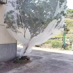 Orchard Anti Hail Net Fish Pond Anti Bird Net Goji Berry Cherry Grape Net Greenhouse Hail Net Locust and Debris Protection