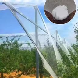 Orchard Anti Hail Net Fish Pond Anti Bird Net Goji Berry Cherry Grape Net Greenhouse Hail Net Locust and Debris Protection