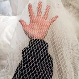 Orchard Anti Hail Net Fish Pond Anti Bird Net Goji Berry Cherry Grape Net Greenhouse Hail Net Locust and Debris Protection