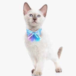 10PCS Mixed Colors Dog Bow Ties Collars Adjustable Angel Wings Pet Dog Bowties Fashion Pet Grooming Accessories For Dogs