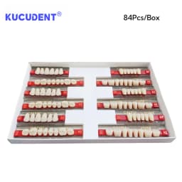 84 Pcs/Set Dental Acrylic Resin Teeth - Full Upper & Lower Denture Set A1/A2/A3 Shades for Dentists Lab | S/M/L Sizes