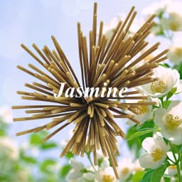20/50/100 Sticks, Yellow Jasmine Incense Sticks, Length 8.66inch Cm, Suitable for Yoga, Meditation, Home, Living Room, Study Room, Popular Portable Aromatherapy.