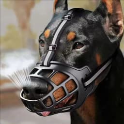 1pc/2pcs Adjustable Dog Muzzle Anti-Biting Dog Mouth Cover With Reflective Strip Can Drink Water Breathable Plastic