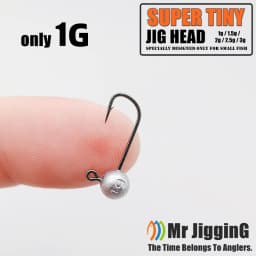 Mr JigginG 20pcs Micro Jig Head Fishing Hook 1g/1.5g/2g/2.5g/3g Super Tiny Fishing Hook Mini Soft Lure Bass Bait Fishing Tackle