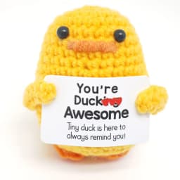 Positive Crochet Handmade Amigurumi Doll Emotional Support Pocket Hug Knit Plant Flower Encouragement Gift for Friends Coworker