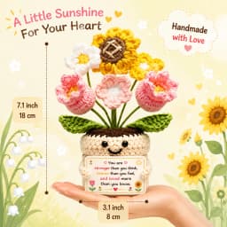 Positive Crochet Handmade Amigurumi Doll Emotional Support Pocket Hug Knit Plant Flower Encouragement Gift for Friends Coworker