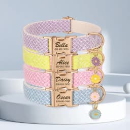 Custom Dog Collar Bling Nylon Dog Collars With Flower Tag Free Engraving Pet Name Buckle Necklace For Small Medium Large Dogs