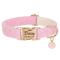 Custom Dog Collar Bling Nylon Dog Collars With Flower Tag Free Engraving Pet Name Buckle Necklace For Small Medium Large Dogs