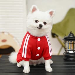 Autumn Winter Dog Warm Jumpsuit Fleece Clothes Pet Clothes Dog Hoodies Sweatshirt for Puppy Cat Yorkie Clothing Soft Dog Coats