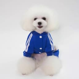 Autumn Winter Dog Warm Jumpsuit Fleece Clothes Pet Clothes Dog Hoodies Sweatshirt for Puppy Cat Yorkie Clothing Soft Dog Coats
