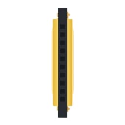SLADE Harmonica Professional 10 Hole 20 Tone Colorful C Key Harmonica Mouth Organ Beginner Instruments for Kids Teaching Gifts