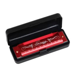 SLADE Harmonica Professional 10 Hole 20 Tone Colorful C Key Harmonica Mouth Organ Beginner Instruments for Kids Teaching Gifts