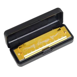 SLADE Harmonica Professional 10 Hole 20 Tone Colorful C Key Harmonica Mouth Organ Beginner Instruments for Kids Teaching Gifts