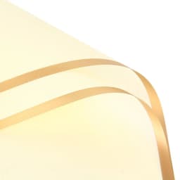 10 Sheets Flower Wrapping Paper with Golden Edges Waterproof Bouquet Packaging Ideal for DIY Weddings Birthdays Presents Package