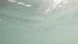 Mini Minnow 55mm 5.8g Wobblers Floating Fishing Lures Minnow Crankbait Artificial Hard Swimbait Fish Lure Pike Wobblers
