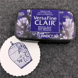 Quick Dry Detail Ink Pad DIY Making Greeting Cards Smearing Stamps Tsukineko VersaFine CLAIR
