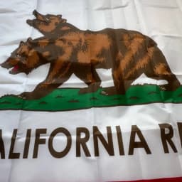 New California Republic NCR Two-Headed Bear California Flag 90x150cm Flag Hangs High Quality 3x5 Ft Polyester Trim Flag Banne