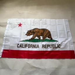 New California Republic NCR Two-Headed Bear California Flag 90x150cm Flag Hangs High Quality 3x5 Ft Polyester Trim Flag Banne