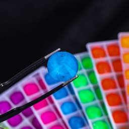 VC Neon Fluorescent Roundness Sew on Rhinestone Roundness Sewing Diamond Glass Diamond Flatback DIY Accessories Wedding