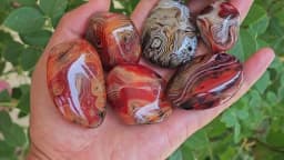 Random Natural Sardonyx Palm, Natural Polished Agate Palm Stone, Healing Crysta
