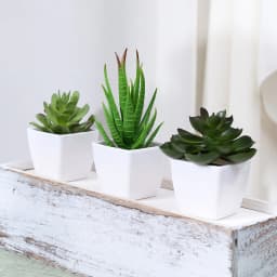 3PCS Artificial Evergreen Plant Bonsai, Suitable For Home, Restaurant, Office, Desktop, And Window Sill Decoration