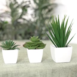 3PCS Artificial Evergreen Plant Bonsai, Suitable For Home, Restaurant, Office, Desktop, And Window Sill Decoration
