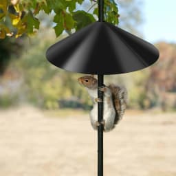 1/2Pcs Outdoor Squirrel Baffle 12-18 inch Wrap Around Squirrel Proof Baffles Durable Plastic Bird Feeder Baffle for Bird House
