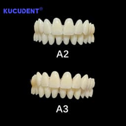 1Pair/Box Resin Denture Teeth Set - Complete DIY False Teeth for Dental Education & Training Models (Upper and Lower)