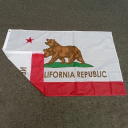 Aerxemrbrae 90X150cm New California Flag Double Side Printed Polyester Hanging New California Republic Flag for Decoration