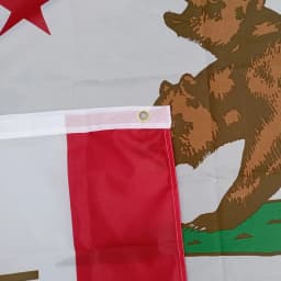 Aerxemrbrae 90X150cm New California Flag Double Side Printed Polyester Hanging New California Republic Flag for Decoration
