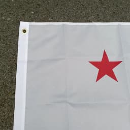 Aerxemrbrae 90X150cm New California Flag Double Side Printed Polyester Hanging New California Republic Flag for Decoration