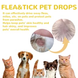 Cat Anti Flea Drops Flea Lice Remove Relieve Skin Itching External Insect Repellent Deworming Supplies Pet Tick Treatment Drops