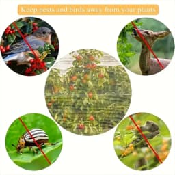 Extra-Thick Garden Netting With Drawstring & Zipper-Insect &Bird Protection For Fruits,Citrus,Flowers Pe Material Insect Netting