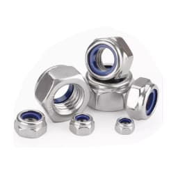 Fine Thread M5 M6 M7 M8 M10 M12 M14 M16 Pitch 0.5~1.5mm 304 Stainless Steel Nylon Insert Lock Nut Hexagon Self-locking Locknut