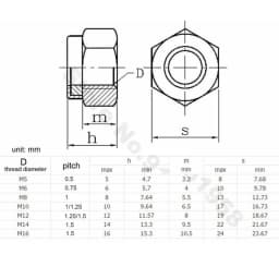 Fine Thread M5 M6 M7 M8 M10 M12 M14 M16 Pitch 0.5~1.5mm 304 Stainless Steel Nylon Insert Lock Nut Hexagon Self-locking Locknut