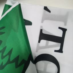 Appeal to Heaven Flag 2x3ft 3x5ft 100% Polyester Hanging Banner for Indoor Outdoor Decoration