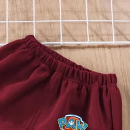 PAW Patrol Baby Boys O Neck Spliced Long Sleeve Hoodies Sets Kids Casual Sweatshirt and Sweatpant 2pcs Suit Spring/autumn New