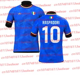 Quick-drying Classic Football Jersey Men football T-shirt R.Baggio 10 Jersey football training Special Edition Jersey Kid TEE