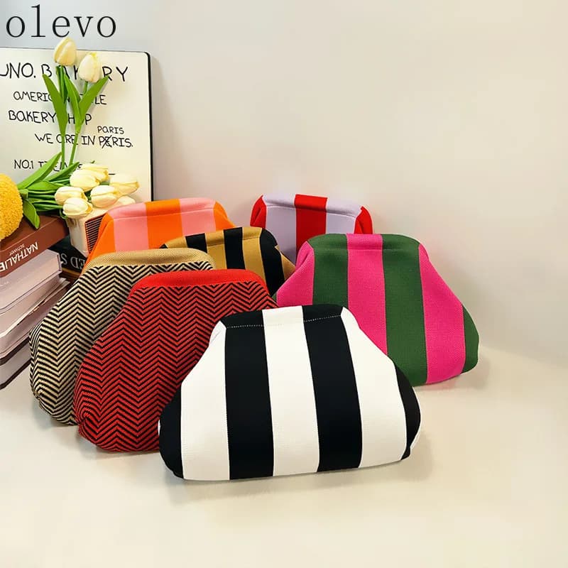 Summer Beach Clutch Bag Woven Crochet Handbags for Women Purses Knitting Dumpling Clutch Ruched Cute Cloud Casual Colorblock Bag