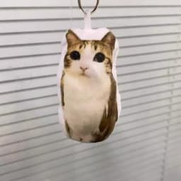 Funny Viral Meowl Cat Plush Sound Keychain, Soft Stuffed Animal Bag Charm, Cute Backpack Pendant Gift for Cat Lovers & Friends